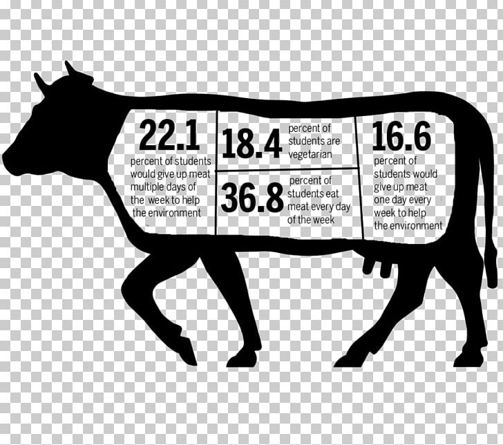 Beef Cattle Jersey Cattle Angus Cattle Holstein Friesian Cattle Dairy Cattle PNG, Clipart, Agriculture, Angus Cattle, Area, Beef Cattle, Black And White Free PNG Download
