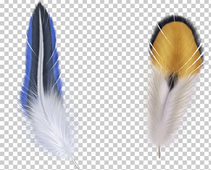 Bird Feather PNG, Clipart, Animals, Bird, Blue, Blue Abstract, Blue Background Free PNG Download