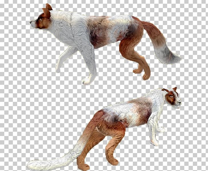 Dog Breed Africanis Dingo Rough Collie Border Collie PNG, Clipart, Africanis, Animal Figure, Art, Artist, Border Collie Free PNG Download