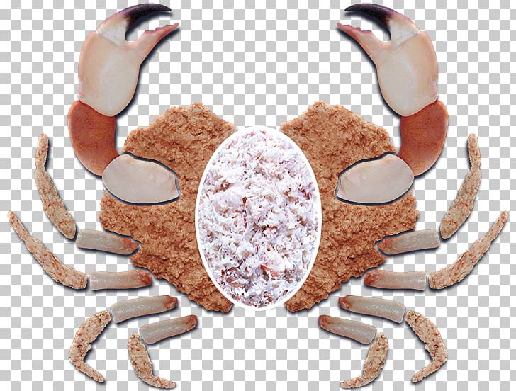 Dungeness Crab Lobster Crab Meat Chesapeake Blue Crab PNG, Clipart, Animals, Animal Source Foods, Blue Sea, Chesapeake Blue Crab, Crab Free PNG Download
