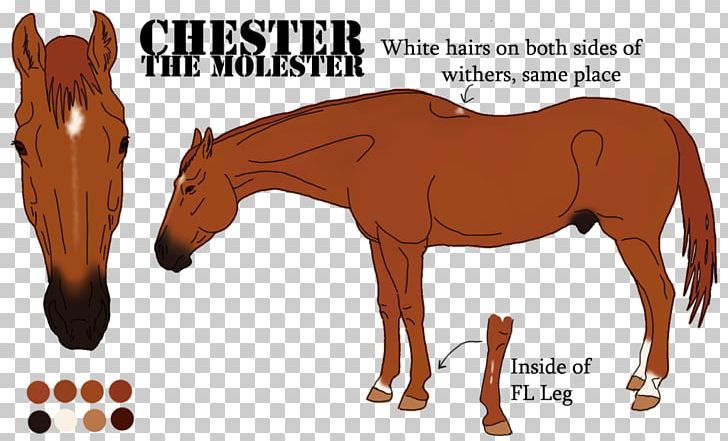 Foal Stallion Pony Mustang Mare PNG, Clipart, Animal, Animal Figure, Bridle, Color, Colt Free PNG Download