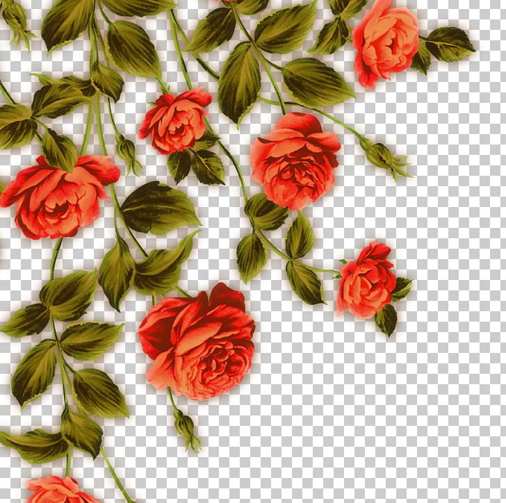 Garden Roses Beach Rose Flower Red PNG, Clipart, Artificial Flower, Cartoon, Centifolia Roses, Download, Drawing Free PNG Download