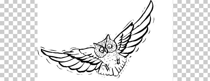 Owl Flight Bird Drawing PNG, Clipart, Artwork, Barn Owl, Beak, Bird, Bird Flight Free PNG Download
