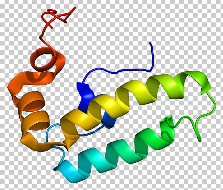 Protein Data Bank Chaperone DnaJ Cell Gene PNG, Clipart, Amino Acid, Artwork, Body Jewelry, Cell, Chaperone Dnaj Free PNG Download