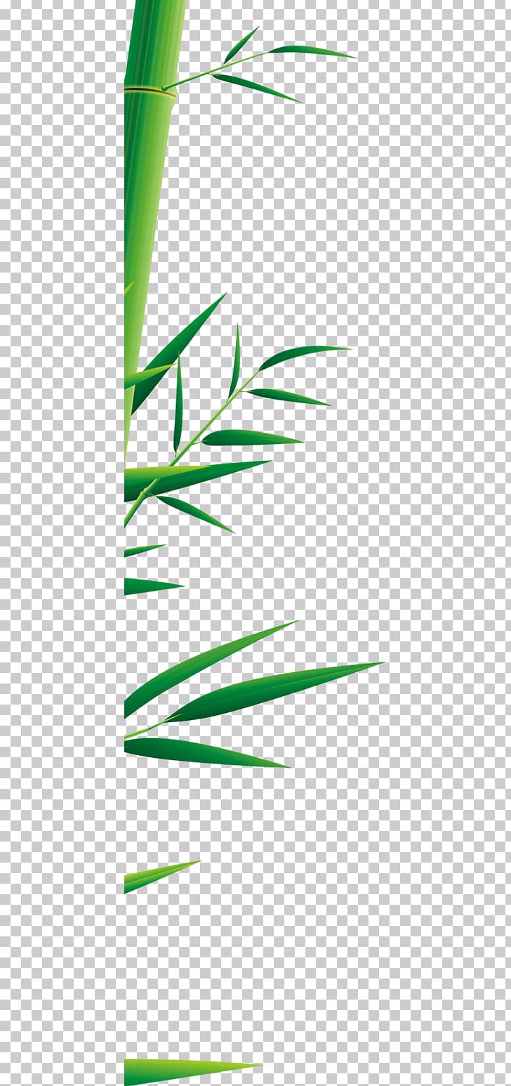 Zongzi Dragon Boat Festival U7aefu5348 Bamboo PNG, Clipart, Activities, Angle, Background, Bambusa Oldhamii, Dragon Free PNG Download