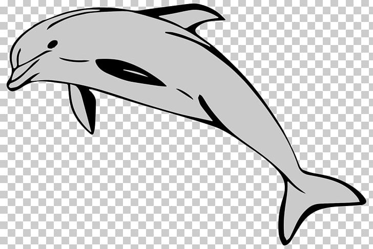 Common Bottlenose Dolphin Short-beaked Common Dolphin Tucuxi Computer Icons PNG, Clipart, Beak, Black, Black And White, Dolphin, Fauna Free PNG Download