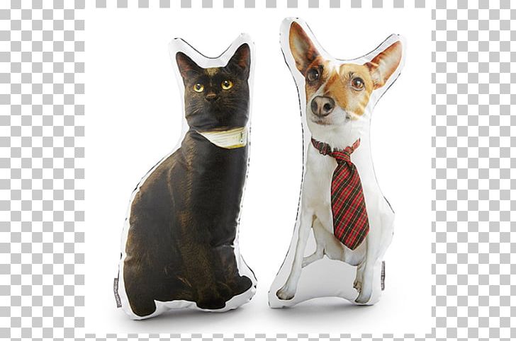 Throw Pillows Pet Cushion Gift PNG, Clipart, Beagle, Bed, Carnivoran, Cat, Cat Like Mammal Free PNG Download