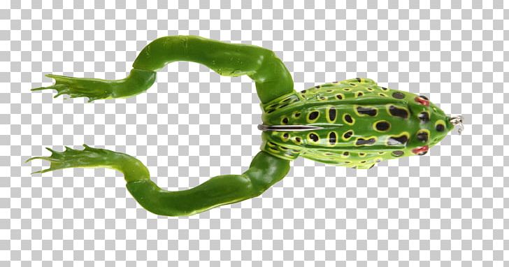 True Frog Fishing Baits & Lures Topwater Fishing Lure Northern Pike PNG, Clipart, Amazing Frog 3d, Amphibian, Angling, Animals, Bait Free PNG Download