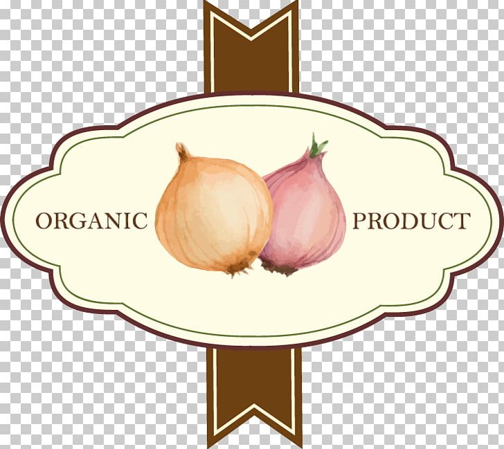 Vegetable Fruit Onion Label PNG, Clipart, Encapsulated Postscript, Food, Fruit, Geometric Pattern, Hand Painted Free PNG Download