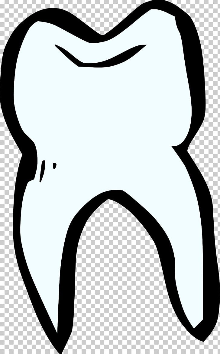 Human Tooth Dentistry PNG, Clipart, Black, Black And White, Dental Anatomy, Dentistry, Face Free PNG Download