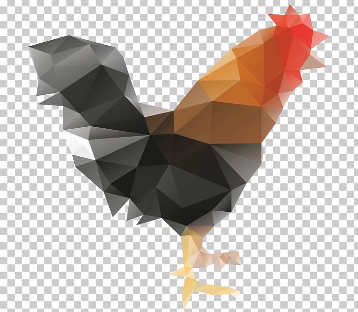 Rooster Photography PNG, Clipart, Beak, Bird, Chicken, Drawing, Galliformes Free PNG Download
