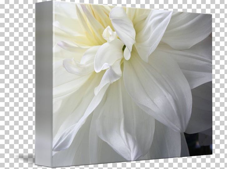 Floral Design Gallery Wrap Art Canvas PNG, Clipart, Art, Canvas, Dahlia, Dahlia Watercolor, Floral Design Free PNG Download