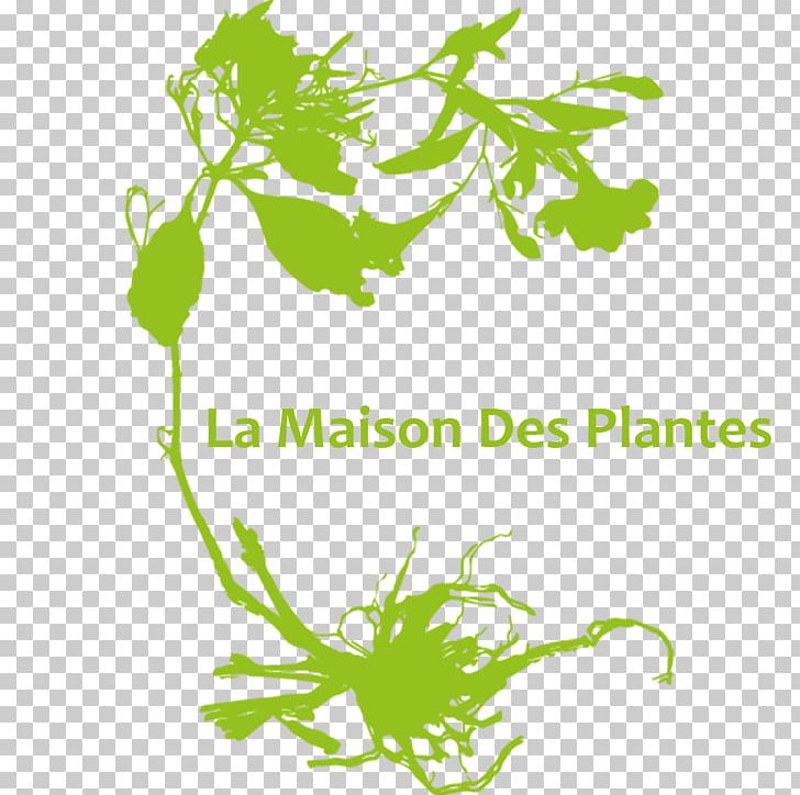 Graphics Plants House Ornamental Plant PNG, Clipart, Artwork, Branch, Brand, Flora, Flower Free PNG Download