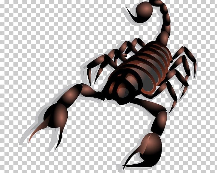 Scorpion Open Graphics Free Content PNG, Clipart, Arachnid, Arthropod, Claw, Decapoda, Download Free PNG Download