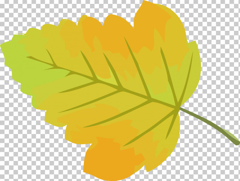 Autumn Leaf Yellow Leaf Leaf PNG, Clipart, Autumn, Autumn Leaf, Flower, Herbaceous Plant, Leaf Free PNG Download