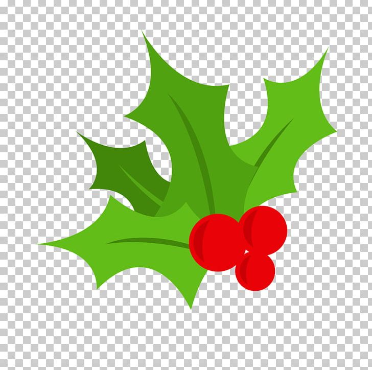 Christmas Mistletoe PNG, Clipart, Aquifoliaceae, Berries, Christmas, Christmas Tree, Common Holly Free PNG Download