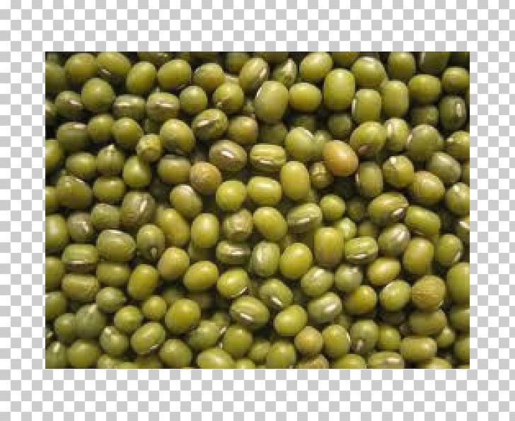Dal Mung Bean Porotos Granados Adzuki Bean PNG, Clipart, Adzuki Bean, Agriculture, Bean, Commodity, Common Bean Free PNG Download