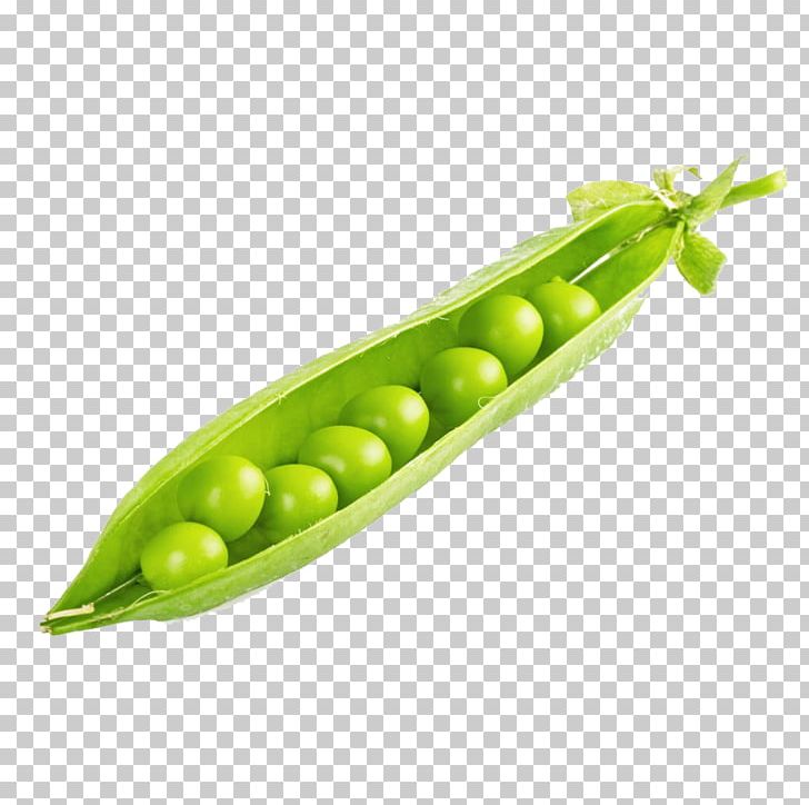 Pea Edamame Bean PNG, Clipart, Banco De Imagens, Beans, Broad Bean, Corn On The Cob, Food Free PNG Download