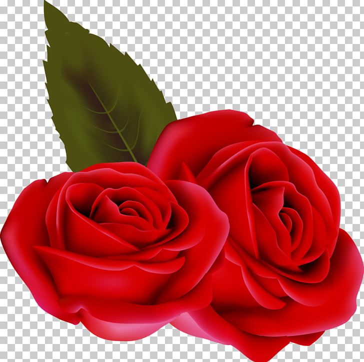 Valentine's Day Beach Rose PNG, Clipart, Beach Rose, Birthday, Cut Flowers, Floribunda, Flower Free PNG Download