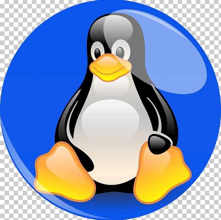 Yum Linux Computer Servers CentOS Patch PNG, Clipart, Animals, Beak, Bird, Centos, Computer Servers Free PNG Download