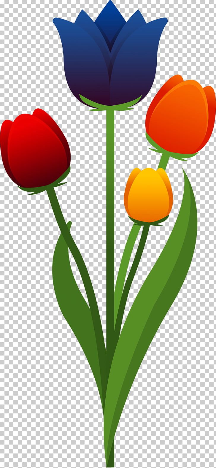 Tulip Flower PNG, Clipart, Download, Euclidean Vector, Flower, Flowering Plant, Flowers Free PNG Download