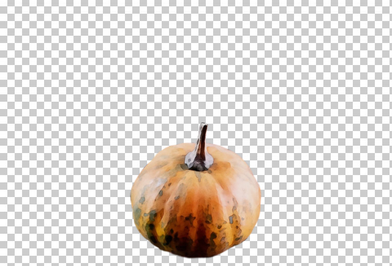 Winter Squash Gourd 0jc Squash Fruit PNG, Clipart, Fruit, Gourd, Paint, Squash, Watercolor Free PNG Download