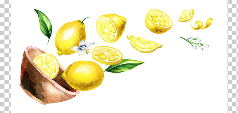 Yellow Lemon Fruit Citrus Natural Foods PNG, Clipart, Citron, Citrus, Food, Fruit, Lemon Free PNG Download
