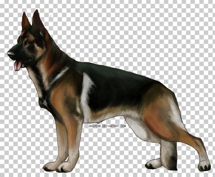 German Shepherd Dobermann Puppy Shih Tzu Malinois Dog PNG, Clipart, Animal, Animals, Breed, Carnivoran, Dog Free PNG Download