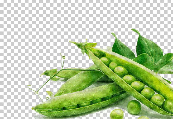 Pea Vegetable Organic Food Fruit Legume PNG, Clipart, Agriculture, Bean, Beans, Butterfly Pea, Butterfly Pea Flower Free PNG Download