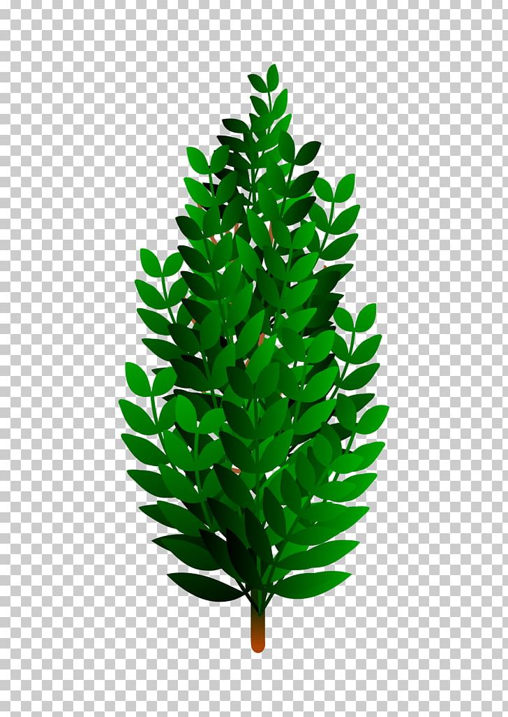 Shrub PNG, Clipart, Art, Burning Bush, Clip Art, Conifer, Drawing Free PNG Download