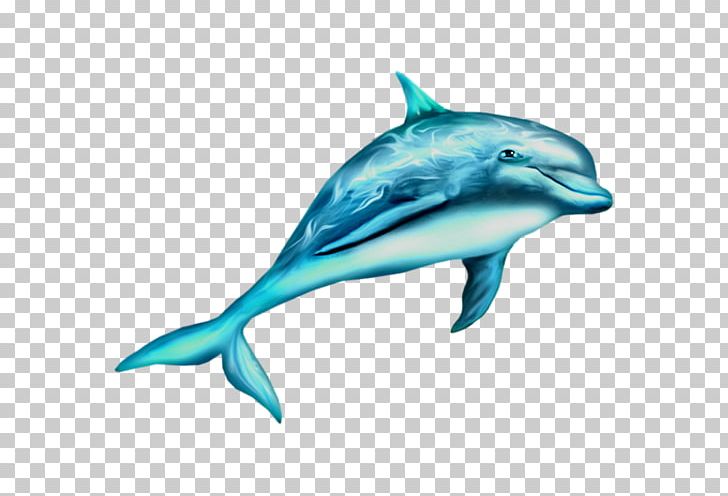 Maine Brosserie France River Dolphin Oceanic Dolphin Les Dauphins PNG, Clipart, Animal, Animals, Cetacea, Electric Blue, Fauna Free PNG Download