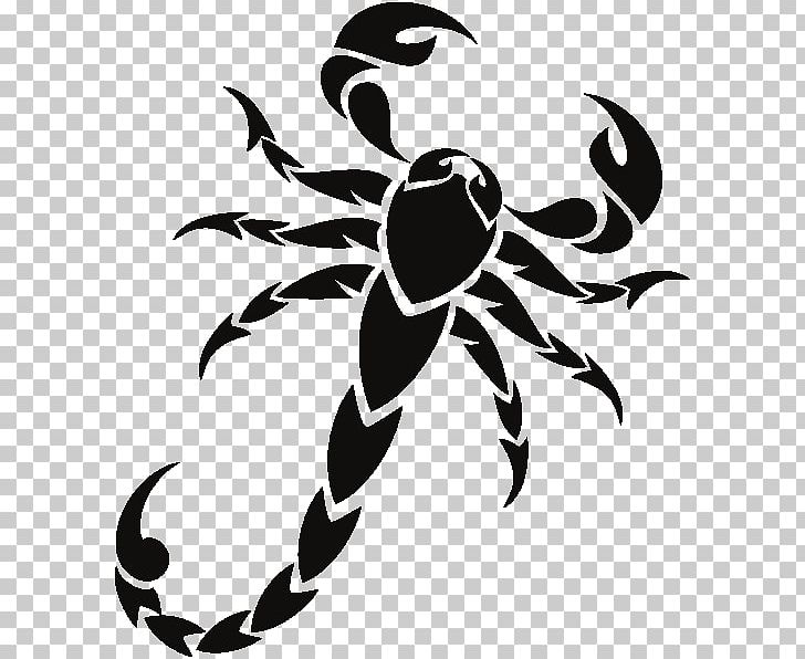 Scorpion Drawing PNG, Clipart, Arachnid, Arthropod, Artwork, Black And White, Computer Icons Free PNG Download