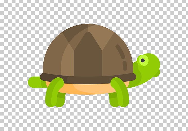 Tortoise Cat Reptile Turtle Pet Shop PNG, Clipart, Animal, Animals, Bucket List, Cat, Clothing Accessories Free PNG Download
