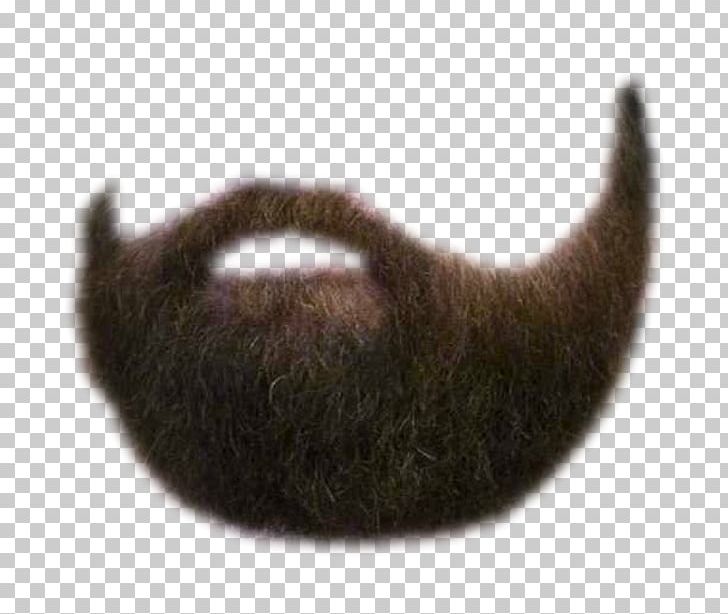 Beard Moustache Facial Hair Portable Network Graphics Face PNG, Clipart, Beard, Carnivoran, Cat, Cat Like Mammal, Claw Free PNG Download