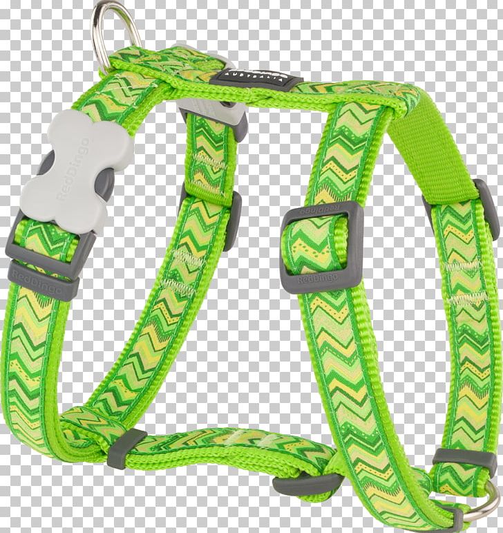 Dingo Dog Harness Horse Harnesses Leash PNG, Clipart, Animals, Blue, Collar, Dingo, Dog Free PNG Download