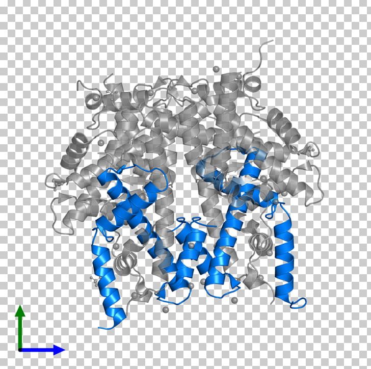 Histone H4 Protein Histone Octamer HIST1H4F PNG, Clipart, Assembly, Blue, Body Jewellery, Body Jewelry, Entry Free PNG Download