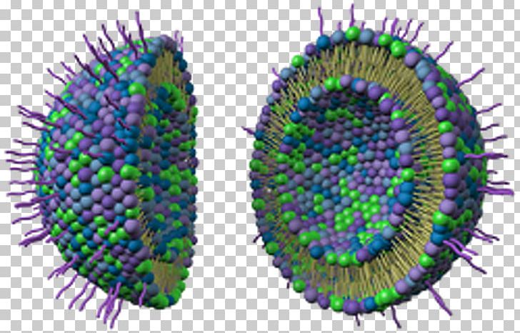 Nutrient Liposome Nanotechnology Keystone Nano Research PNG, Clipart, Cancer, Cell, Ceramide, Circle, Education Science Free PNG Download