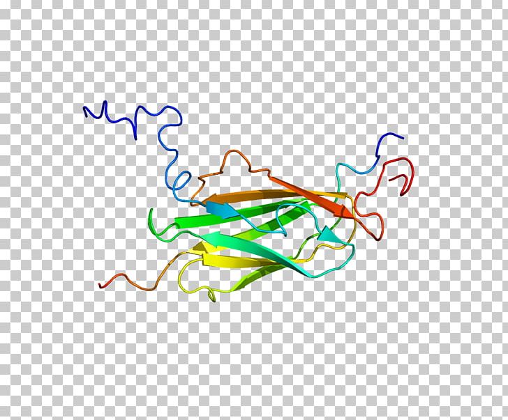Protein Filamin Actin Homeobox N-terminus PNG, Clipart, Actin, Amino Acid, Area, Art, Cell Adhesion Free PNG Download