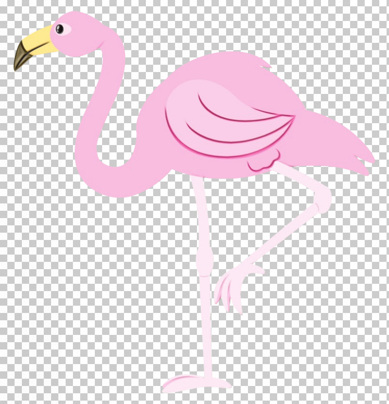 Flamingo PNG, Clipart, American Flamingo, Blog, Cartoon, Flamingo, Greater Flamingo Free PNG Download