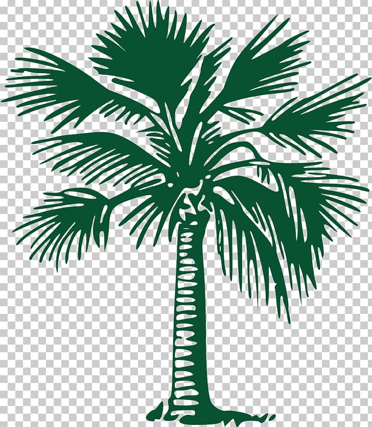 Asian Palmyra Palm Caronport Community Church Arecaceae Gold Coast Tree Lopping PNG, Clipart, Arecaceae, Arecales, Asian Palmyra Palm, Black And White, Borassus Flabellifer Free PNG Download
