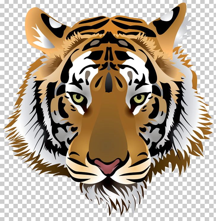 Cat Bengal Tiger White Tiger PNG, Clipart, Animal, Animals, Bengal Tiger, Big Cats, Carnivoran Free PNG Download