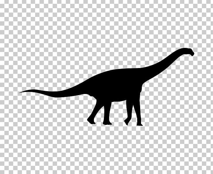 Dinosaur Mamenchisaurus Animal Paper PNG, Clipart, Animal, Animal Figure, Black And White, Carnivoran, Cat Free PNG Download