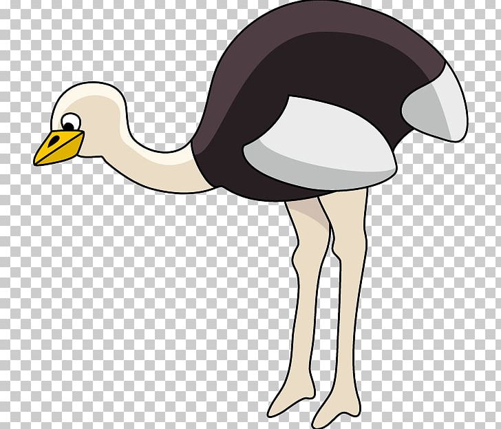 Common Ostrich Flightless Bird PNG, Clipart, Animals, Beak, Bird, Bitmap, Cartoon Free PNG Download