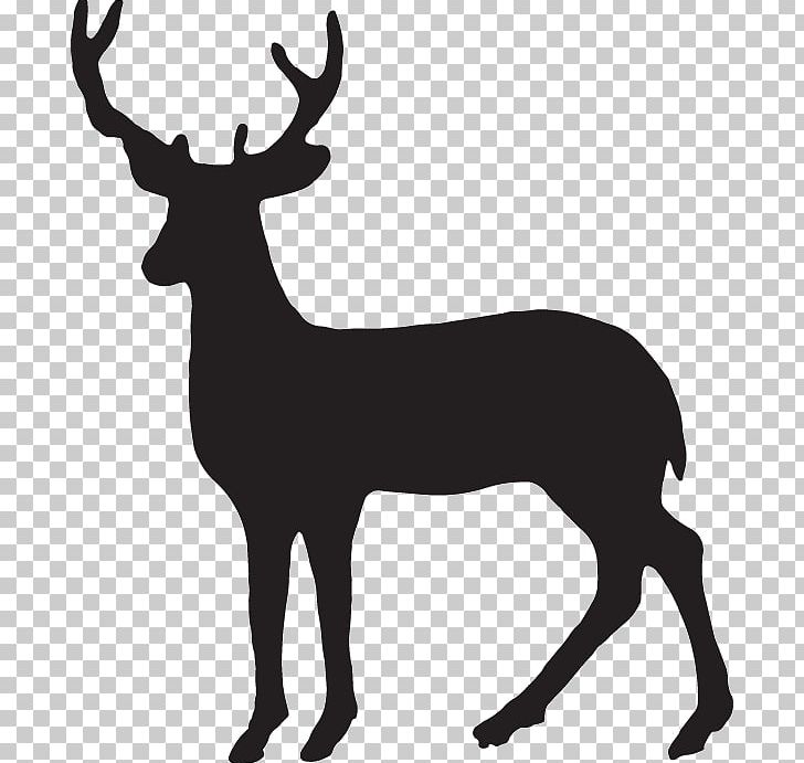 Deer Wall Decal Sticker Art PNG, Clipart, Animal, Animals, Antler, Black And White, Bumper Sticker Free PNG Download