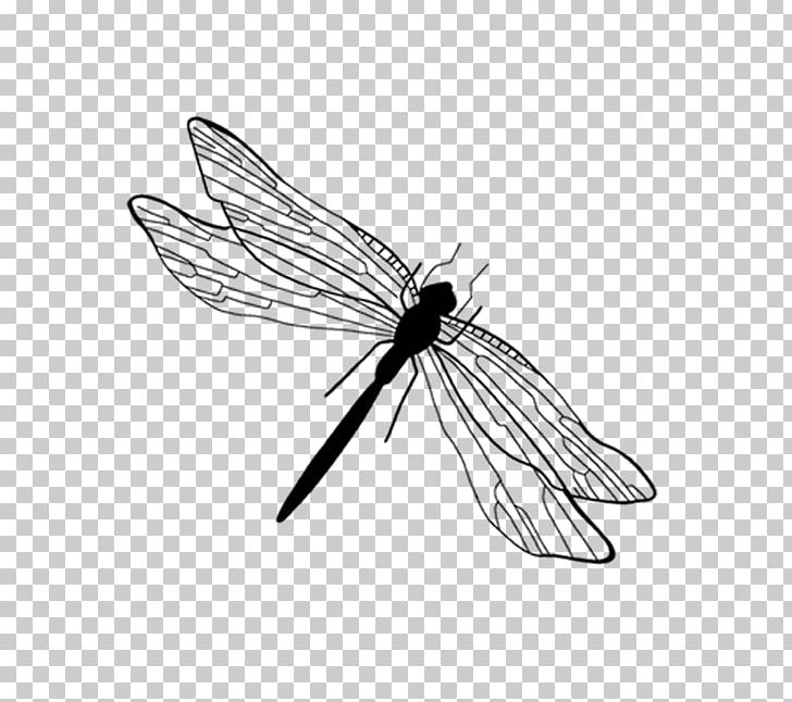 Insect Ink Wash Painting Black And White PNG, Clipart, Architecture, Black White, Chinese Style, Gongbi, Ink Free PNG Download