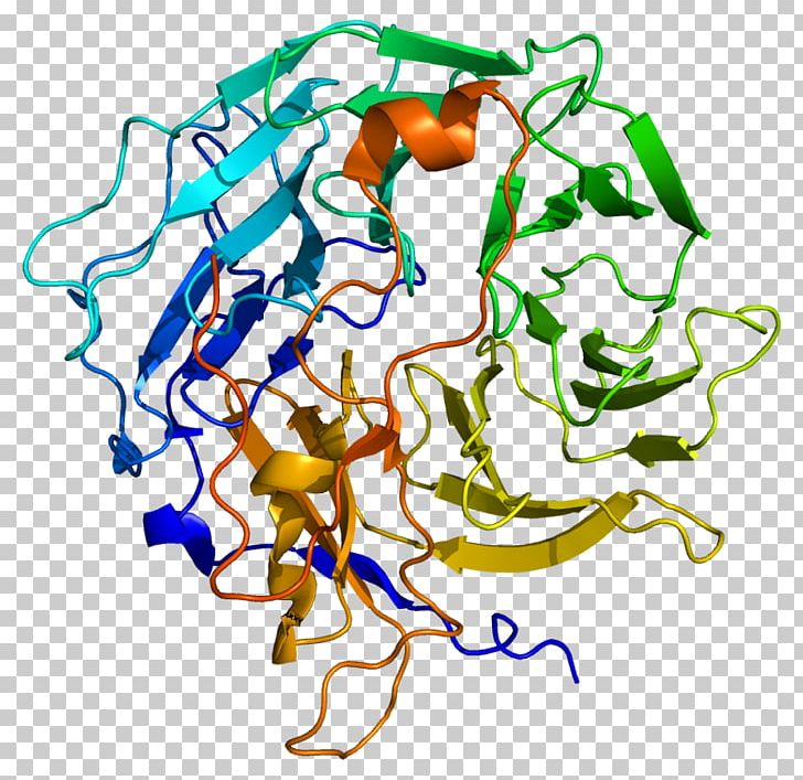 Chitinase Enzyme Lysosome Protein Coronin PNG, Clipart, Active Site, Area, Art, Artwork, Bacteria Free PNG Download
