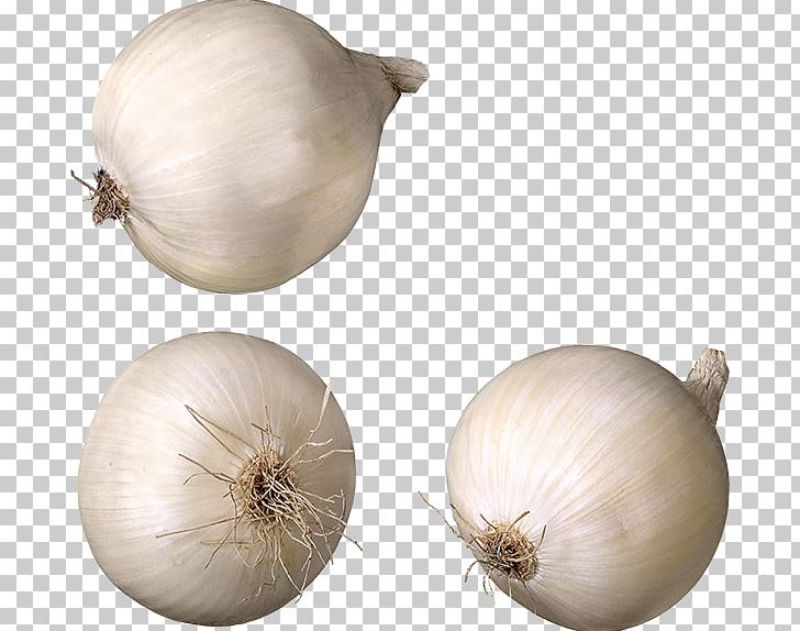 Pearl Onion Garlic Cooking Red Onion Eating PNG, Clipart, Chives, Cooking, Eating, Elephant Garlic, Food Free PNG Download