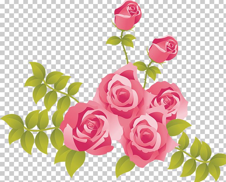 Rose Pink PNG, Clipart, Cli, Color, Cut Flowers, Design, Flora Free PNG Download
