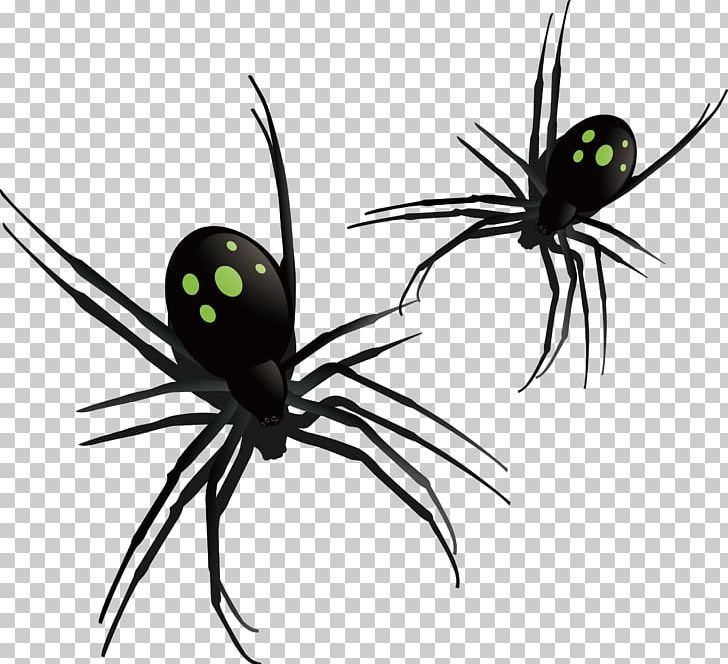 Southern Black Widow Spider Insect Pattern PNG, Clipart, Arachnid, Arthropod, Background Black, Black, Black Background Free PNG Download