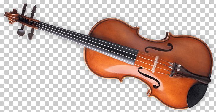 Bass Violin Violone Viola Double Bass PNG, Clipart, Acoustic Electric Guitar, Antonio Vivaldi, Bass Guitar, Bass Violin, Bowed String Instrument Free PNG Download